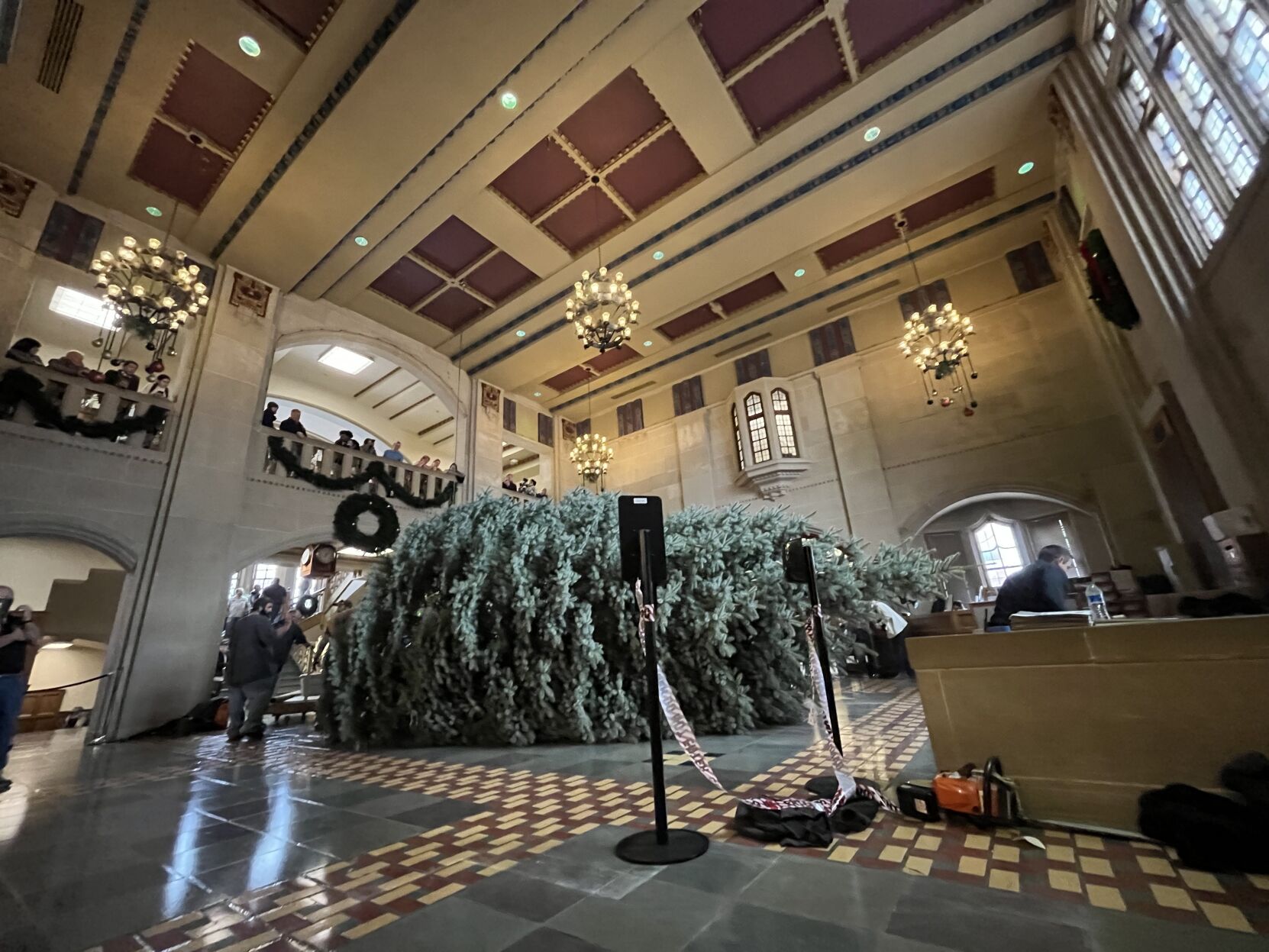 11/28/22 PMU Christmas tree arrives from Lafayette, tree laying on the ground